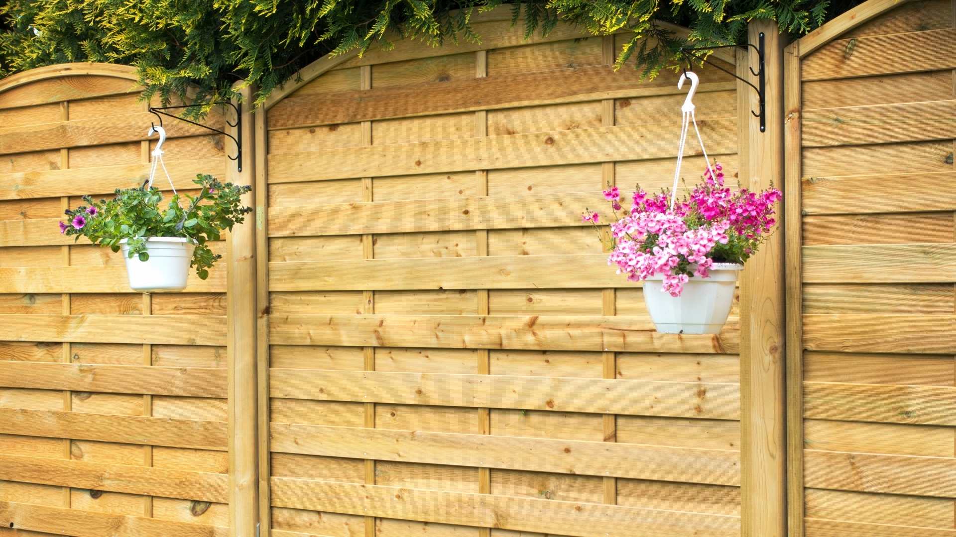 Fence Panels in the UK