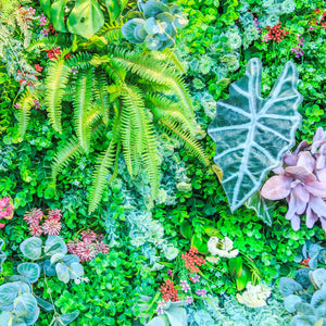 Artificial Plant Walls: The Latest Trend in Outdoor Décor
